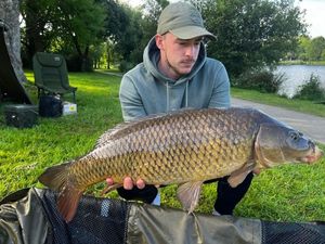 Common Carp