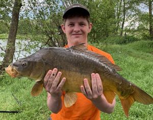 Mirror Carp