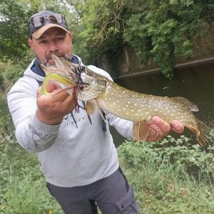 Northern Pike