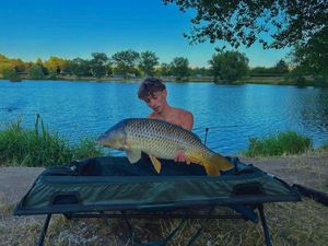 Common Carp