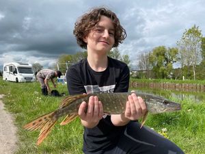 Northern Pike