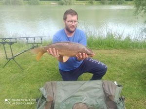 Mirror Carp