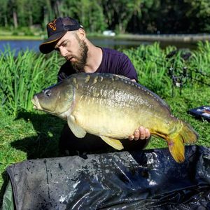 Mirror Carp