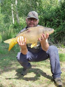 Common Carp