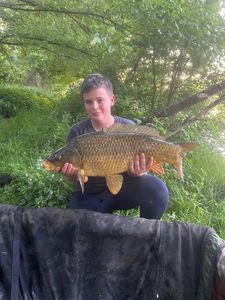 Common Carp