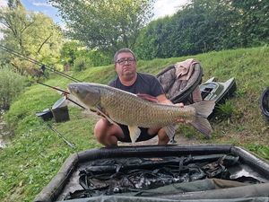 Grass Carp