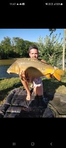 Mirror Carp