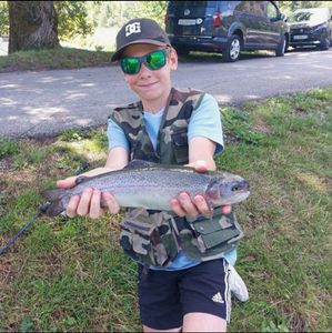Rainbow Trout