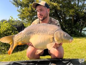 Mirror Carp