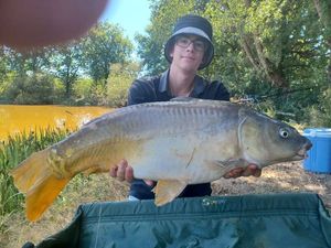 Mirror Carp