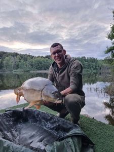 Mirror Carp