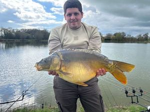 Mirror Carp