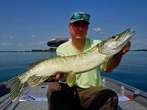 Northern Pike