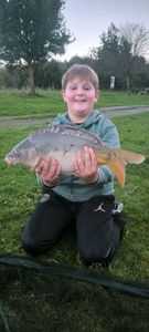 Common Carp