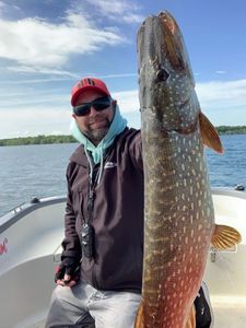 Northern Pike