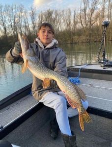 Northern Pike