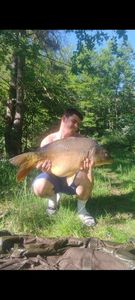 Mirror Carp
