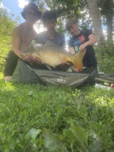 Mirror Carp