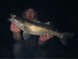 Zander
