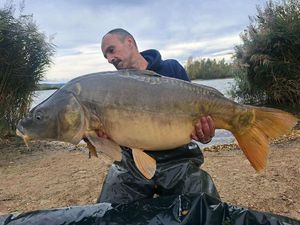 Mirror Carp