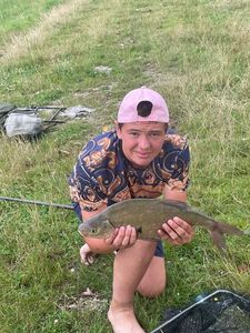 Common Bream