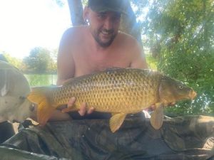 Common Carp