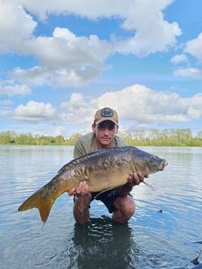 Mirror Carp