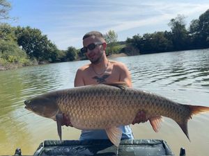 Grass Carp