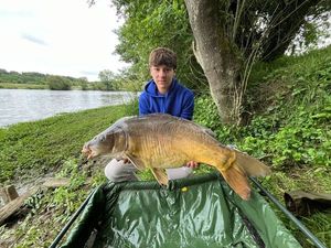 Mirror Carp