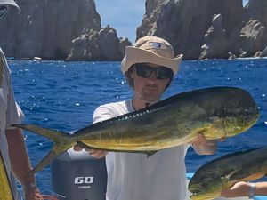 Dolphinfish