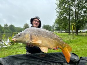 Mirror Carp