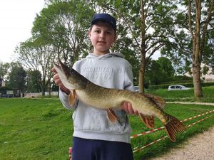 Northern Pike