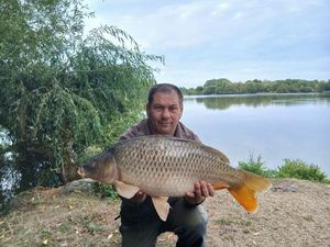 Common Carp