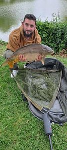 Mirror Carp