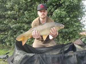 Common Carp