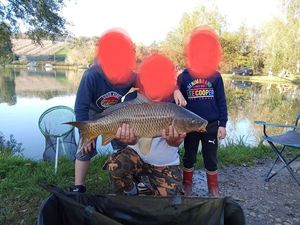 Common Carp