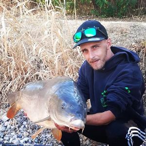 Mirror Carp