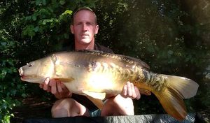 Mirror Carp