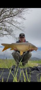 Leather Carp