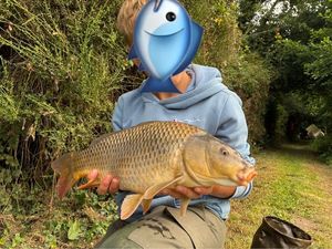 Common Carp