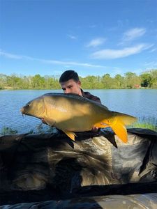 Leather Carp
