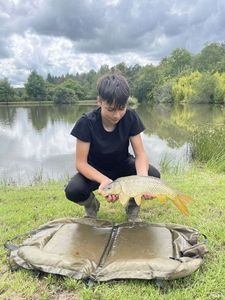 Common Carp