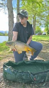 Mirror Carp