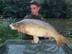 Mirror Carp