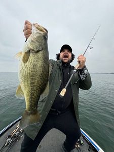 Largemouth Bass