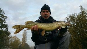 Northern Pike