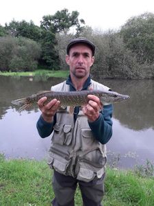 Northern Pike