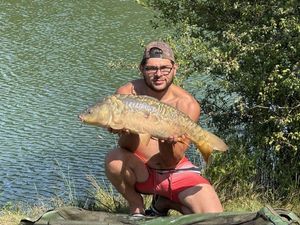 Mirror Carp