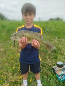 Largemouth Bass