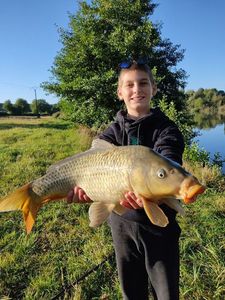 Common Carp